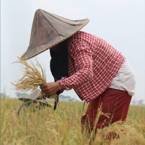 NEW NORMAL, RUMAH SOSIAL KUTUB MELAUNCHING PROGRAM “HADIRKAN ENERGI